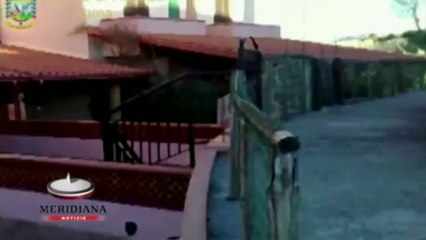 Furti ed estorsioni dall’età di 16 anni. Il Clan Casamonica insegna VIDEO