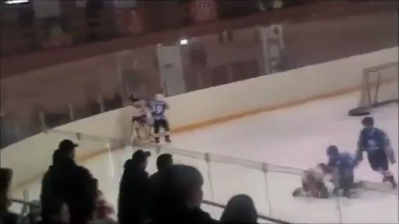 Extreme Funny Hockey Fight