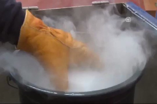 Karbondioksit kazanç kapısı oldu