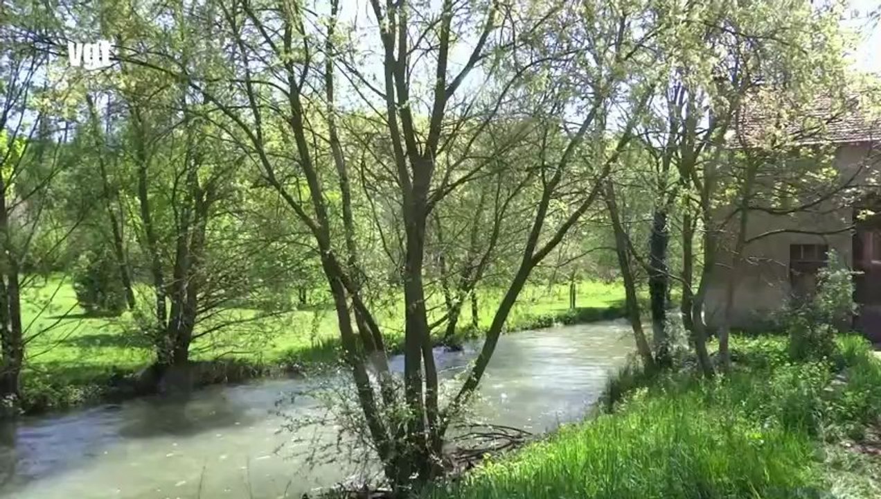 COULEURS DE MAI