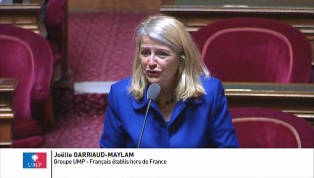 Joëlle Garriaud-Maylam, Sénateur représentant les français établis hors de France : Litiges familiaux transfrontaliers