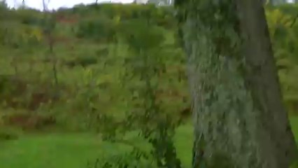 vidéo de chasse au domaine du Maïlou