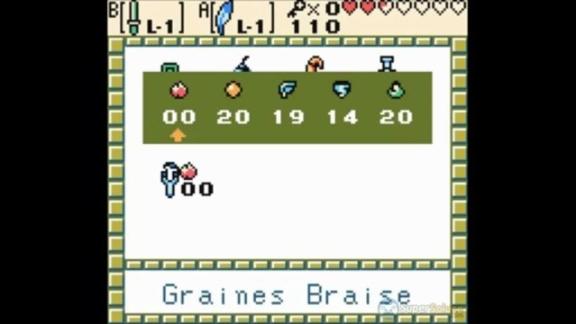 Zelda Oracle of Seasons : Donjon du Dragon dansant