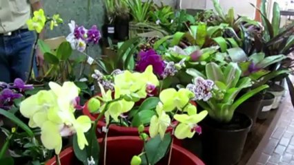 EcoPrácticas: Conozca las actividades educativas que ofrece el Jardín Botánico