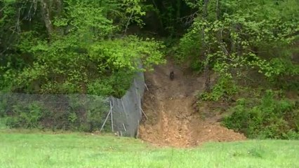 vidéos de chasse au domaine du Maïlou
