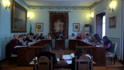 Pleno ordinario 21 de mayo de 2013 1