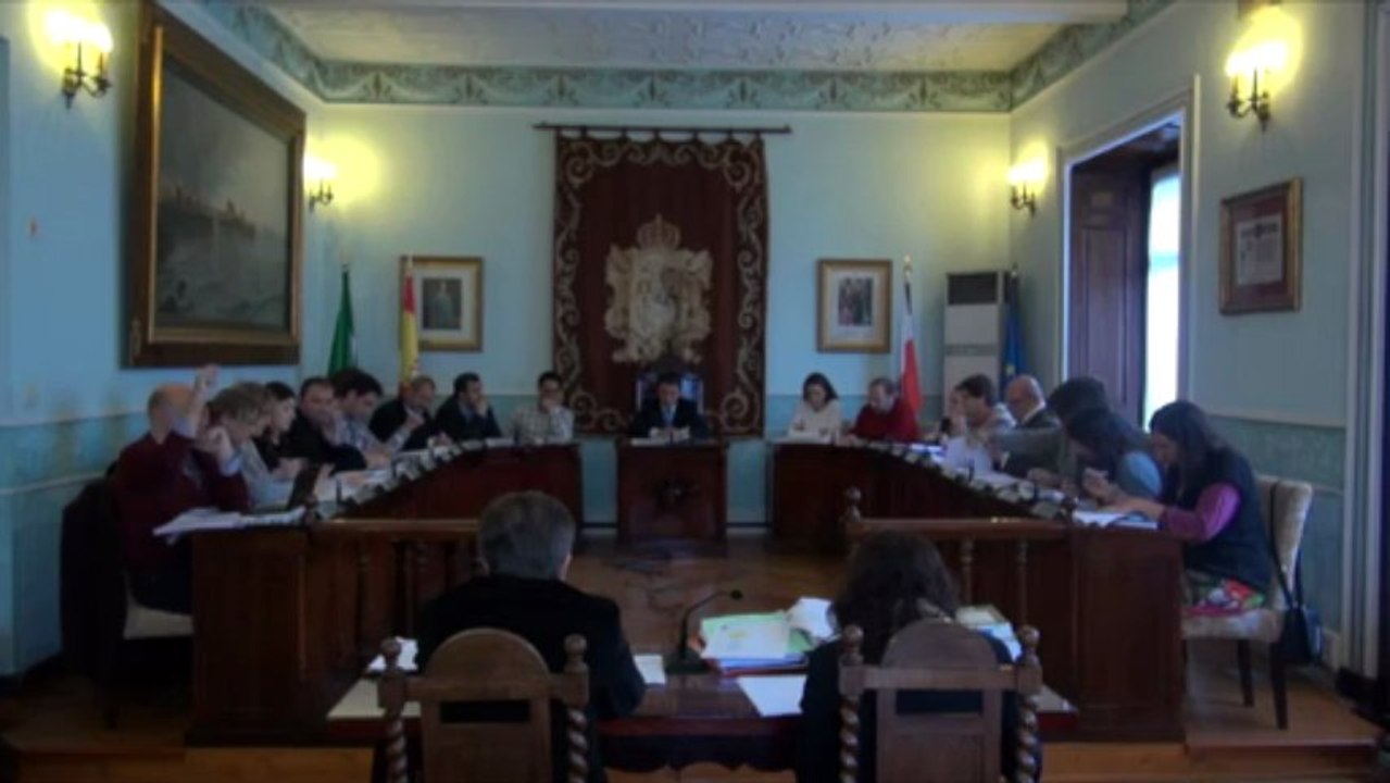 Pleno ordinario 21 de mayo de 2013 1