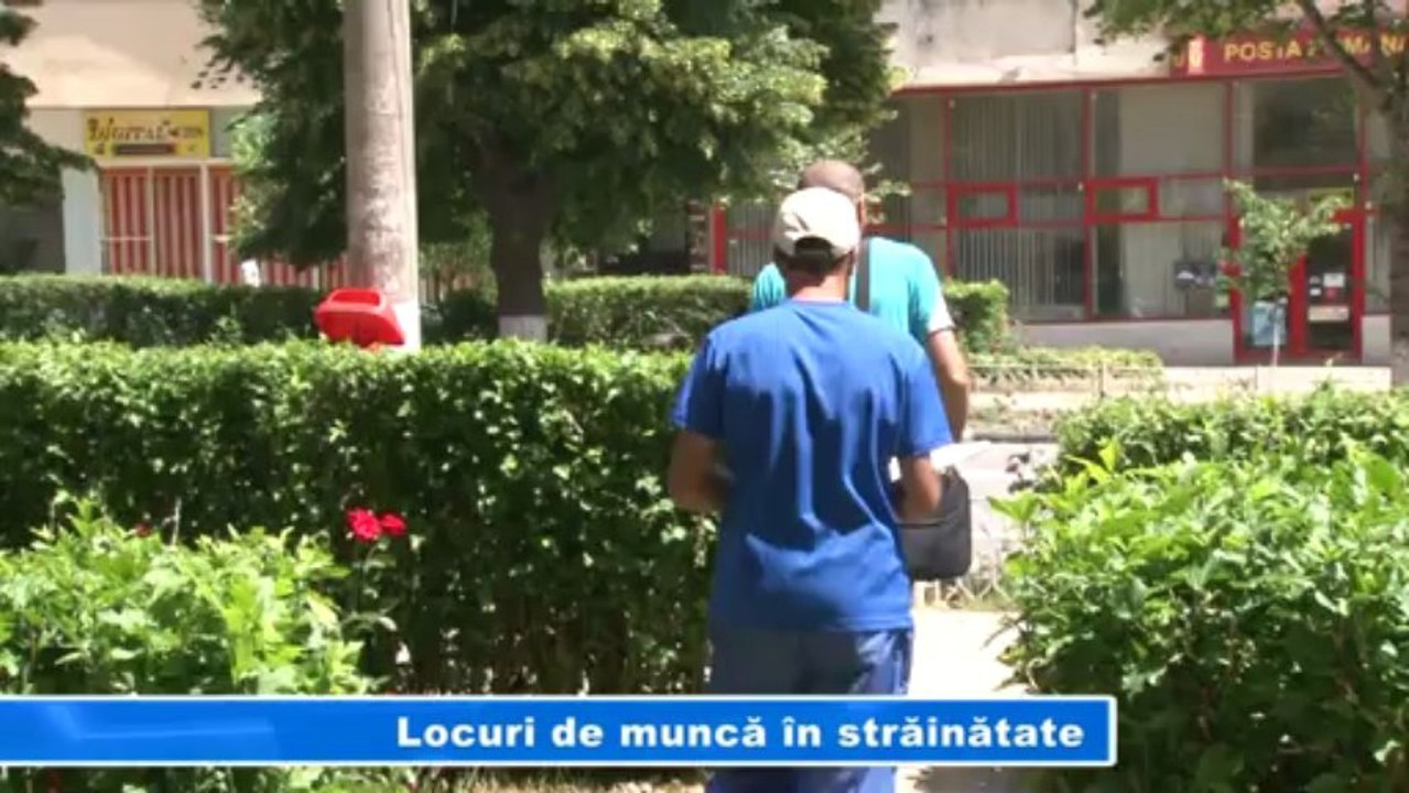 LOCURI DE MUNCA IN STRAINATATE 21-05