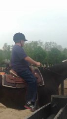 Saddle  Rock Ranch Horse Show Middle Island New York 11953