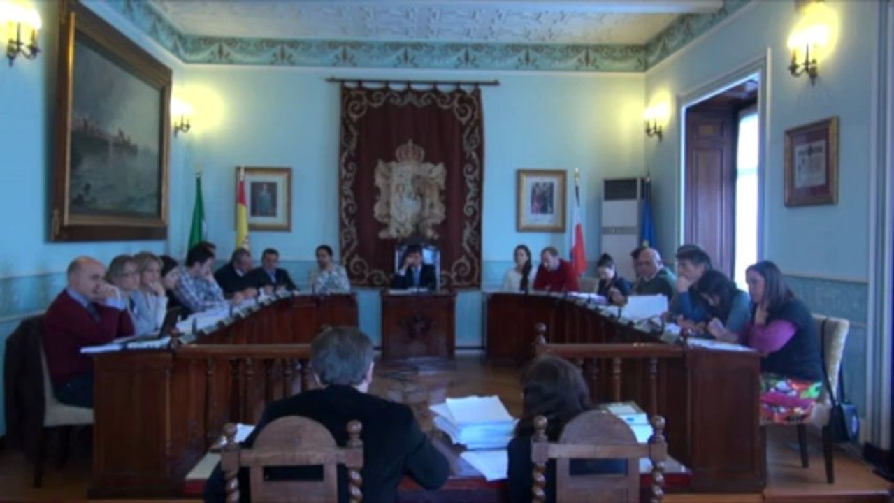 Pleno ordinario 21 de mayo de 2013 2