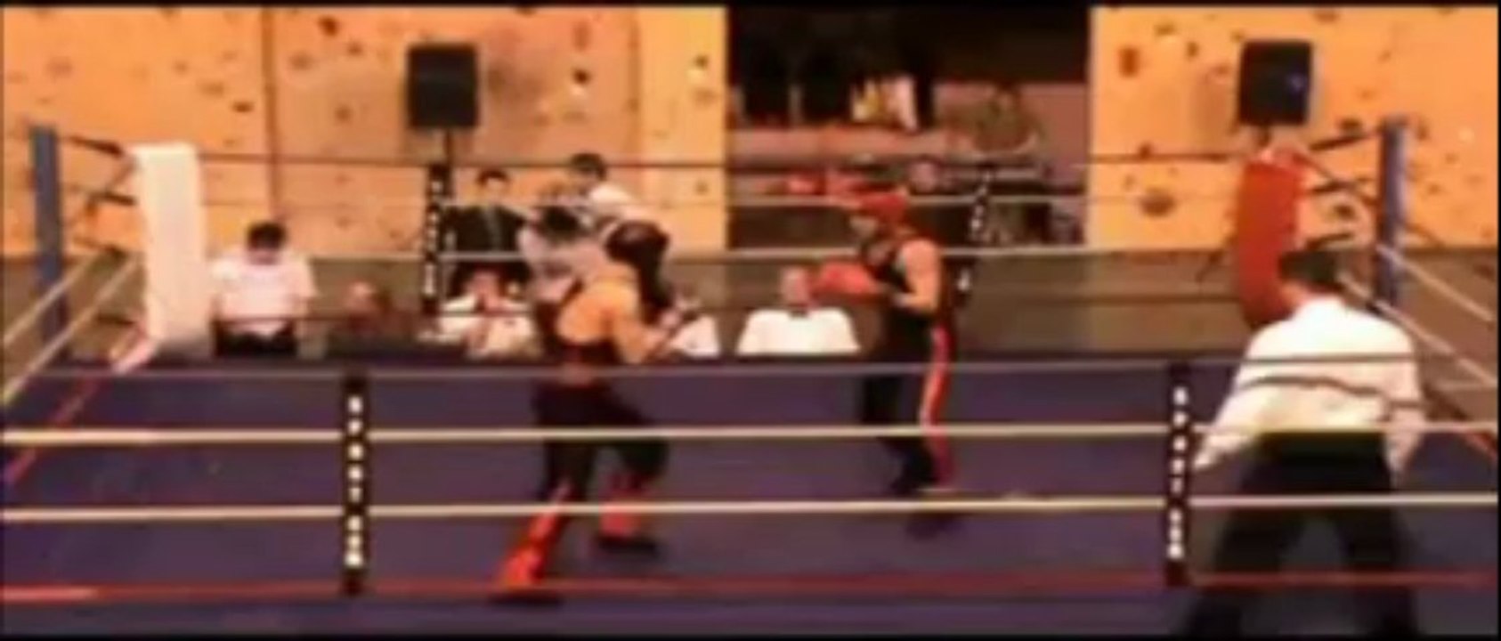 boxe Francaise combat