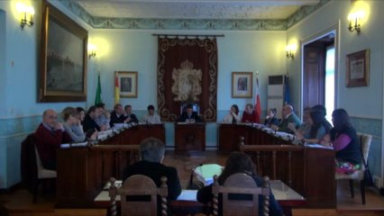 Pleno ordinario 21 de mayo de 2013 3