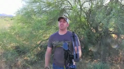 Mountain Lion Hunting in Arizona