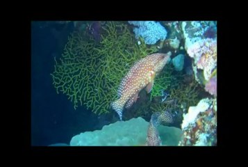 Croisière St John - Avril 2013