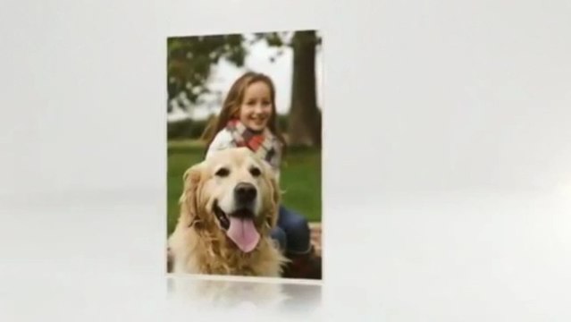 Cozy Kitty Condos - (512) 876-4990