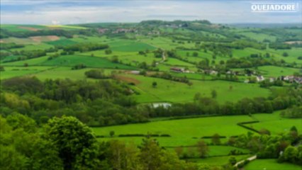 Cours d'oenologie : le Bourgogne - Quejadore.com