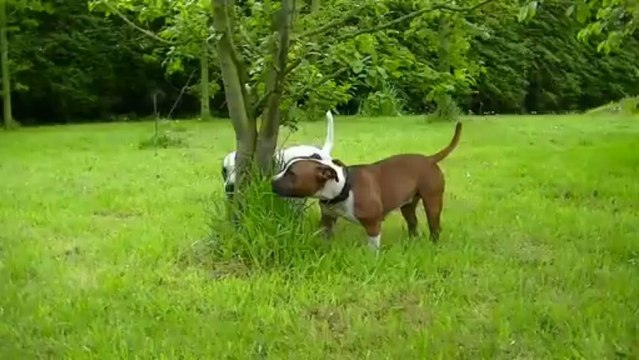 3.1 Famille Dr Jones ( 1 )