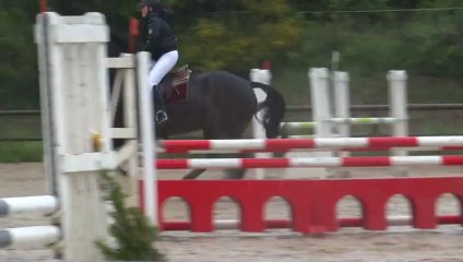 Sirius Fayen Mai 2013 Prépa 1m St Yrieix (2)