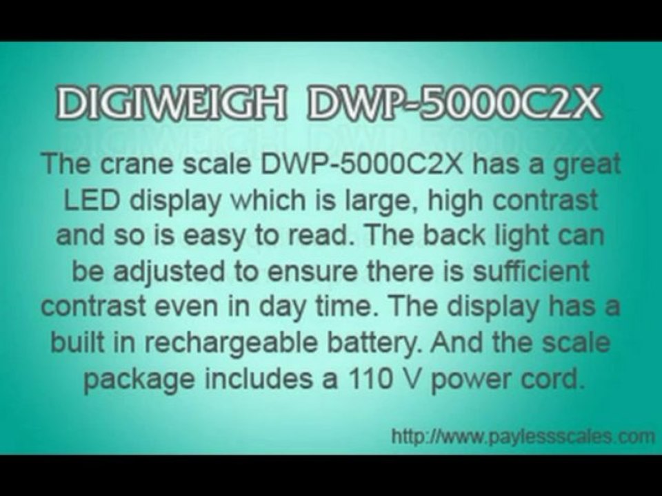 CRANE SCALE - DIGIWEIGH DWP-5000C2X