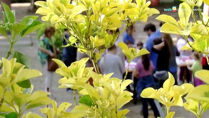 Napoli - Il Teatro dei Piccoli, un gioiello recuperato (21.05.13)