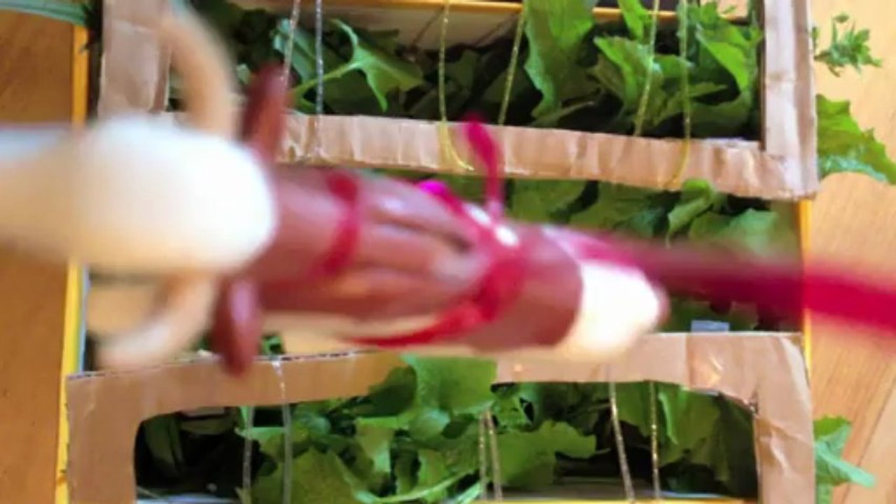 Jurassic Park Suédé (Emile Thévenin)