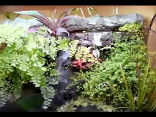 Aquaterrarium - Paludarium - Décor fait main