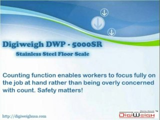 Stainless Steel Floor Scale - Digiweigh DWP-5000SR
