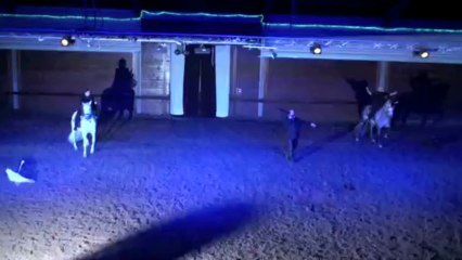 Les Trophées 2013 - Théâtre Equestre de Wattrelos