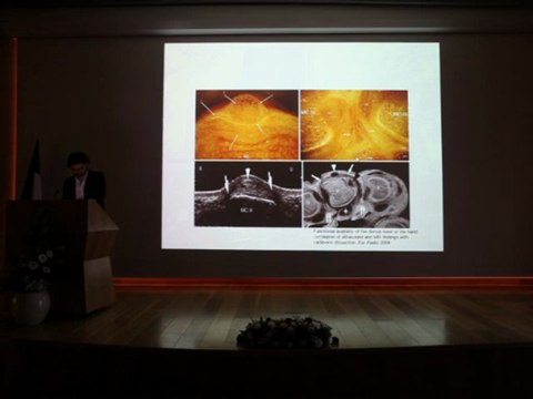 MSK Imaging cases - Dr Jean MANELFE & Benjamin DALLAUDIERE