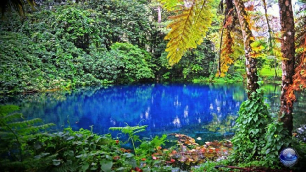 Greatest hits - Percy Faith