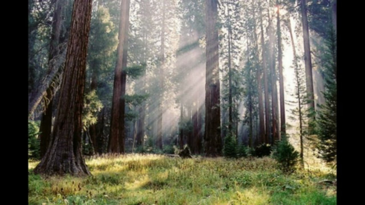 CALIFORNIA DREAMING - Instrumental Version