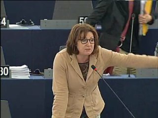 Hélène Flautre sur la situation en Syrie (22/05/2013)