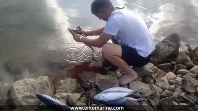 ERKE Marine, Muren Balığı - Göcek - erkemarine.com