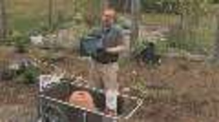 Container Gardening Basics