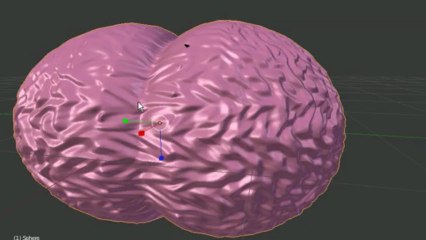 cerveau anim sur blender