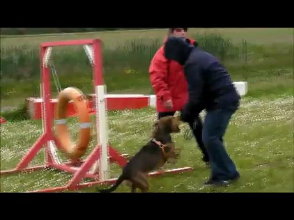 Cours du 18 mai 2013 Marielle & Gary