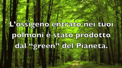 La TORRE EIFFEL RISPETTO DELLA CREAZIONE