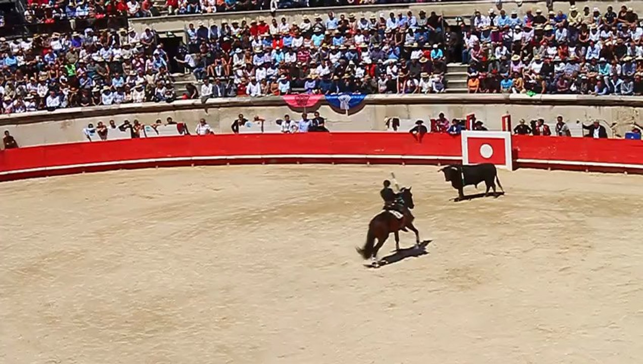 Corrida équestre Nîmes Ventura