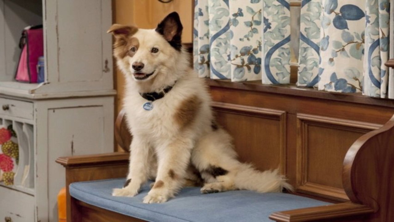 Dog With a Blog Season 1 Episode 16 - The Truck Stops Here [ HD ] Full Episode