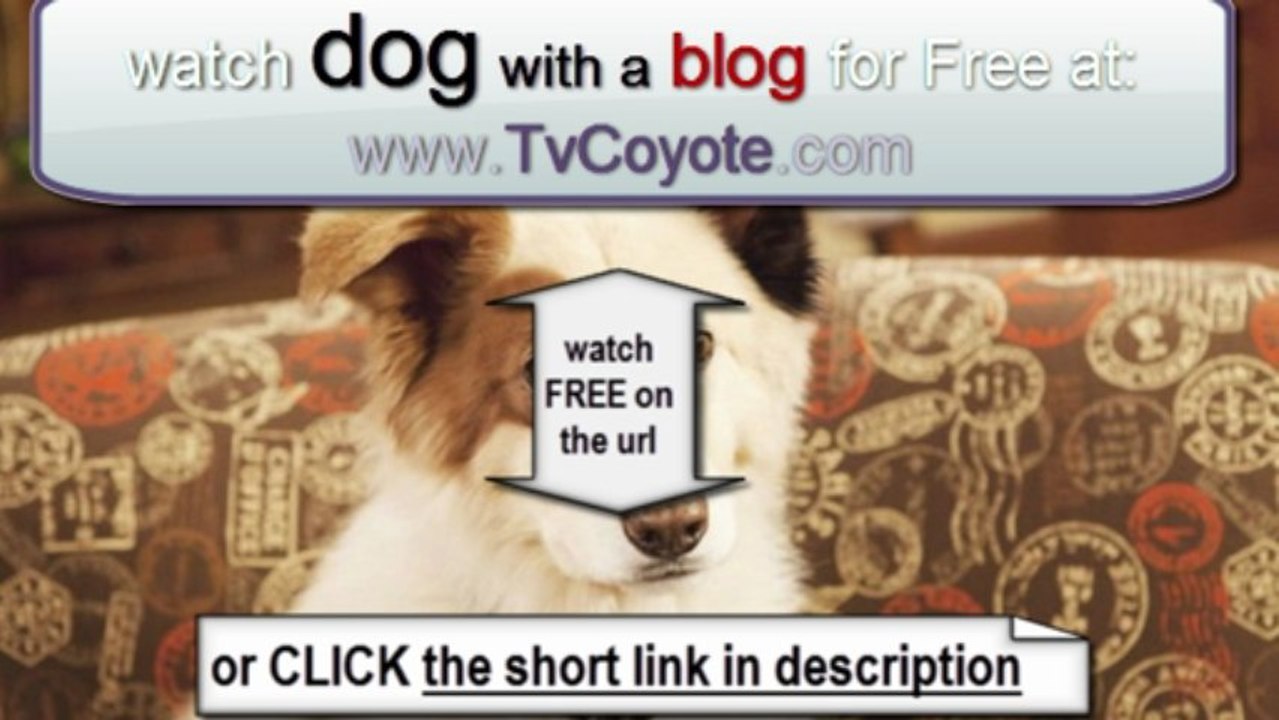 Dog With a Blog Season 1 Episode 13 -  Guess Who's a Cheerleader