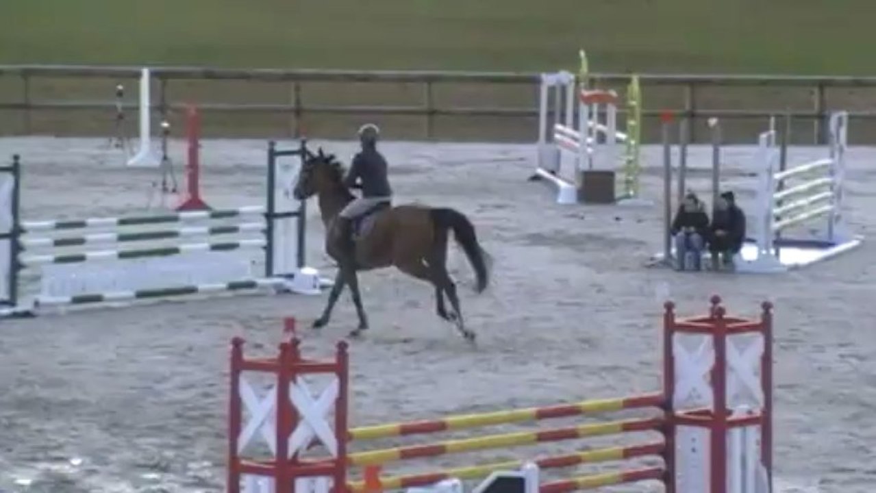 Vahiné de Bieville CC 4ans Qualification Landivisiau mai 2013