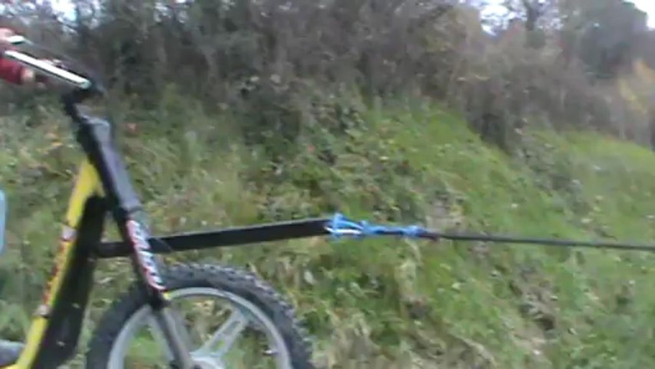 cani trottinette
