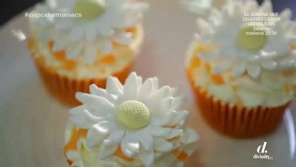 Cupcake Maniacs 19/05/13