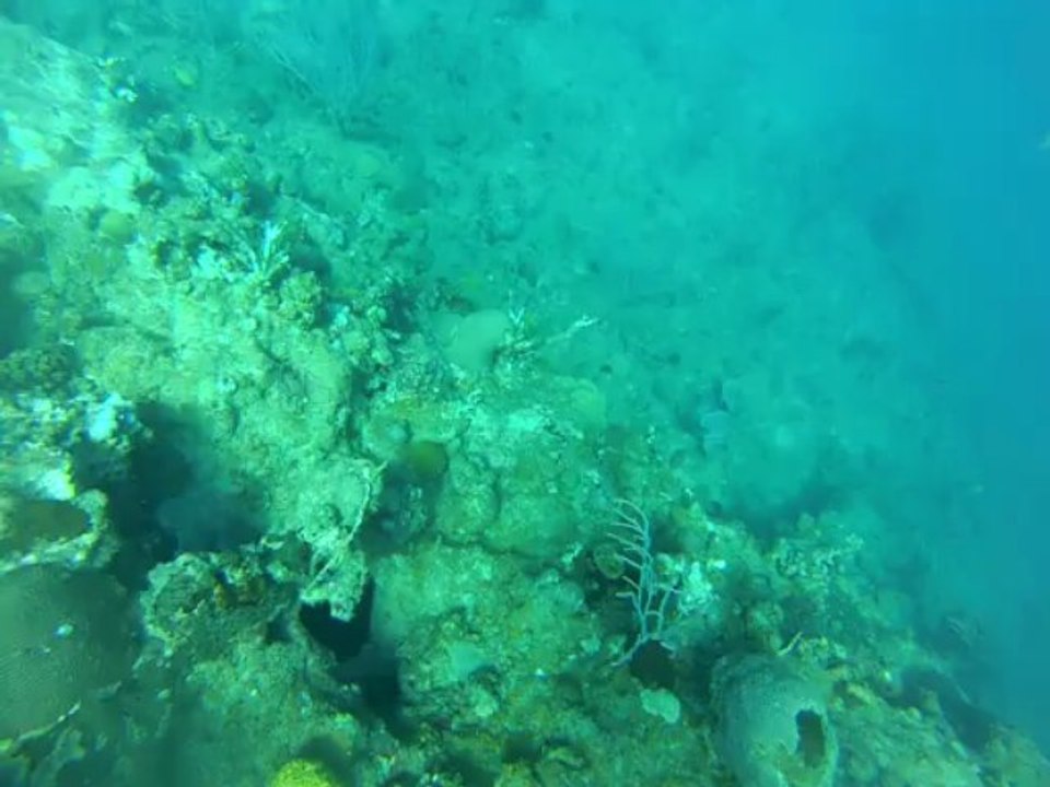 GOPR0091