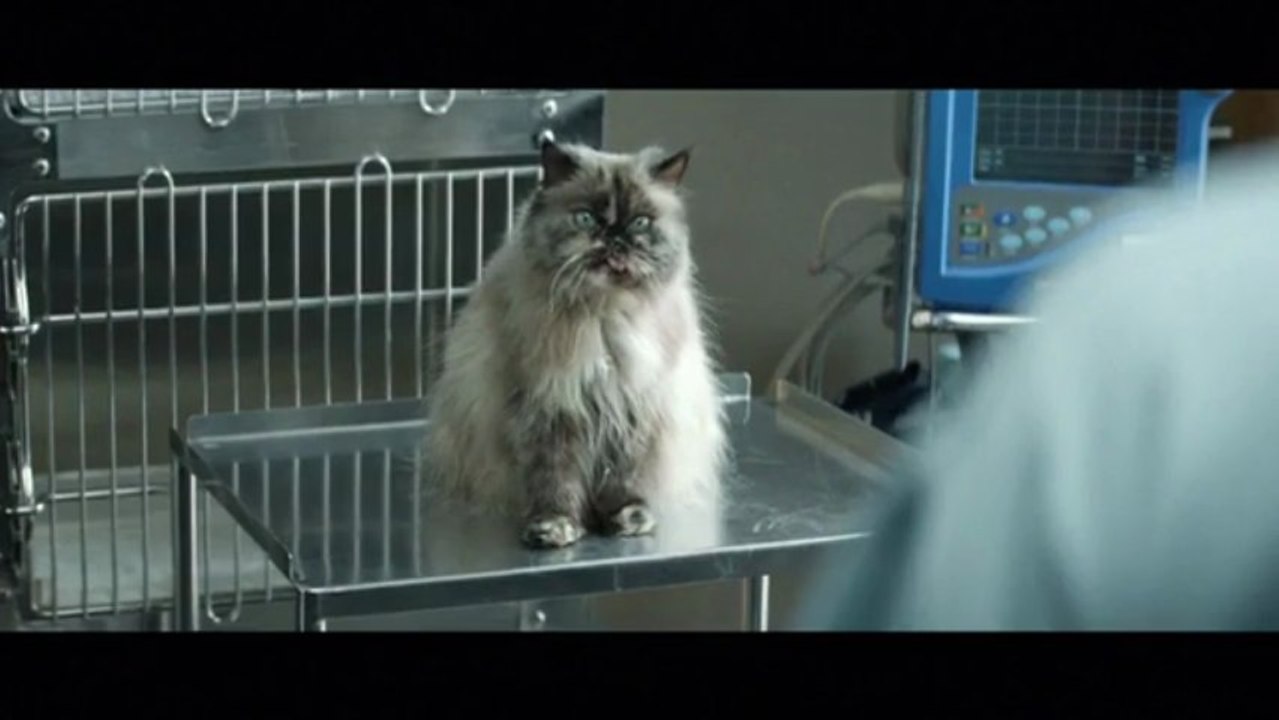 Pub Specsavers (Vétérinaire)