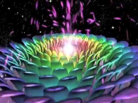 The Illuminated Chakras - A Visionary Voyage into Our Inner World