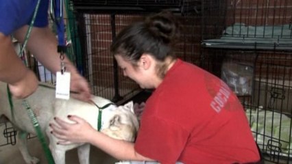 A happy reunion at makeshift pet rescue center in Oklahoma