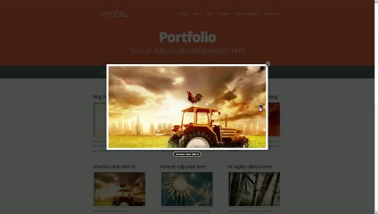 WordPress Responsive Theme Nimble
