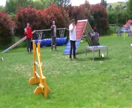 Concours de Saint Vrain 2013 Philippe+ELLA / GPF