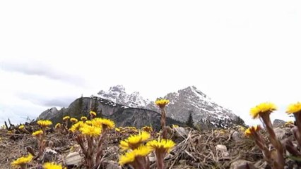 TORNA LA NEVE, TIMORI PER IL GIRO